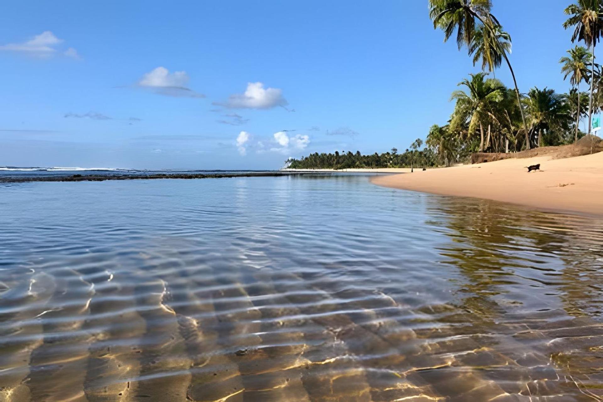 Praia Do Forte Apartamento Fantastico Zewnętrze zdjęcie