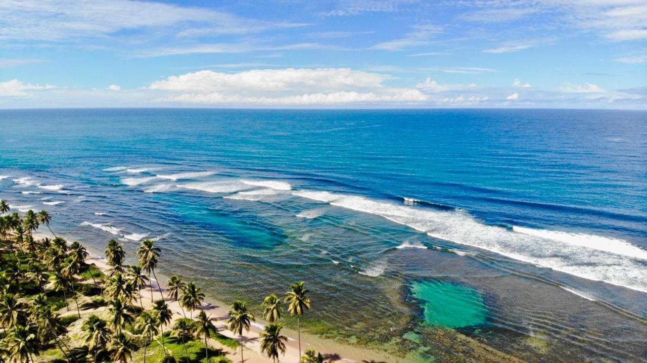 Praia Do Forte Apartamento Fantastico Zewnętrze zdjęcie